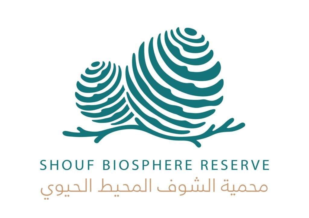 480156679 511839335280341 1320084684940625095 n 1024x724