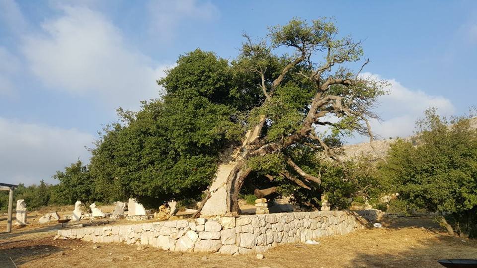 482254337 1762756860949167 7000059093072993021 n