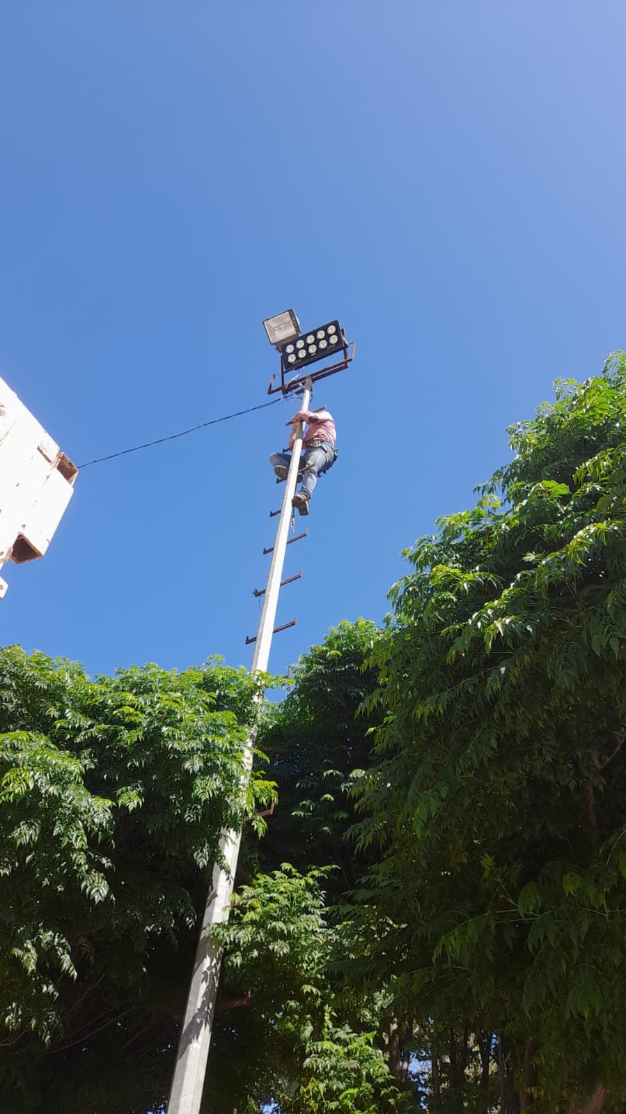 513945222 122118397274885307 1380542550468289574 n