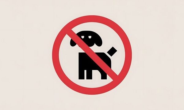 360 F 1123050038 Z3bYzRBMFOIEpRvkIFps6B04EA45Hp4O 600x360