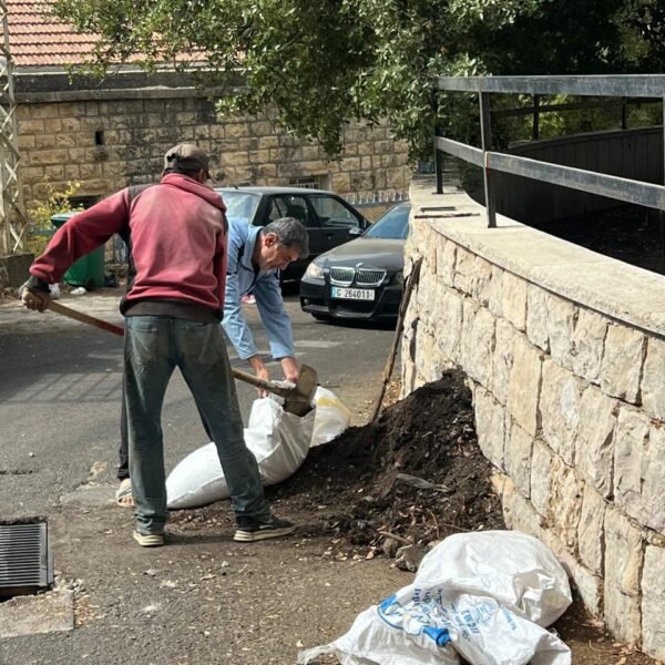 558149786 122140034474885307 1728772816905394903 n 600x600