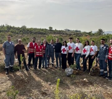 590229381 122149049576885307 39717189253859611 n 360x320