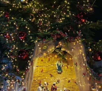 595822422 122151034286885307 650369230458107592 n 360x320