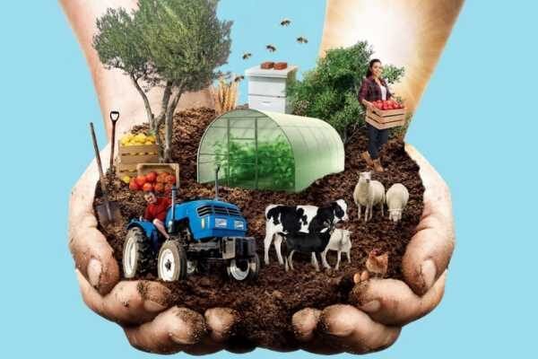 E535af69e17d314a754b6d974ce14d02 600x400