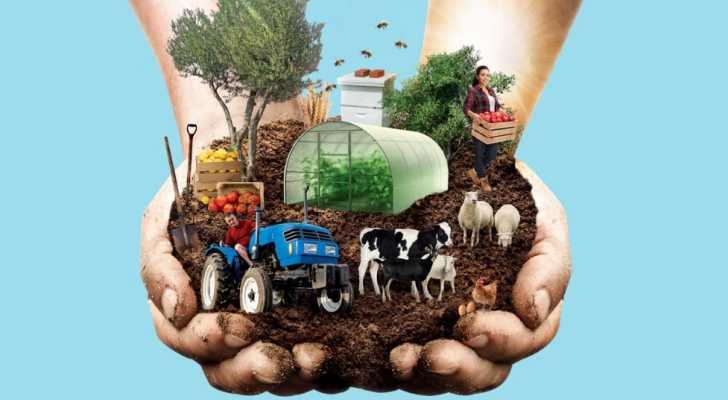 E535af69e17d314a754b6d974ce14d02